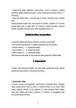 Konspekts 'Cilvēka prenatālā attīstība un dzemdības', 3.