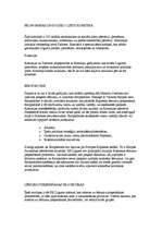 Konspekts 'Eiropas Savienības iestādes un citas struktūras', 27.