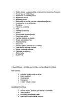 Konspekts 'Eiropas Savienības iestādes un citas struktūras', 31.