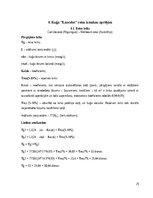 Referāts 'Kuģa „Lancelot” izmaksu aprēķins', 25.