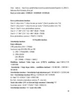 Referāts 'Kuģa „Lancelot” izmaksu aprēķins', 30.