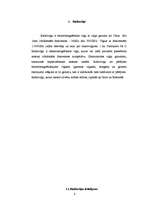 Referāts 'Radioviļņu izmantošanas iespējas', 4.