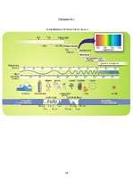 Referāts 'Radioviļņu izmantošanas iespējas', 26.