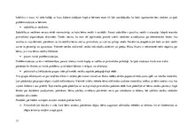 Prakses atskaite 'Pirmsskolas pedagoģijas aktīvā audzināšanas prakse', 17.