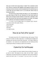 Referāts 'Does the Bathhouse Improve Our Health?', 6.