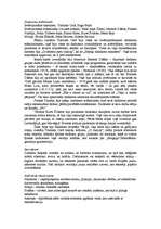 Referāts 'Dadaisms', 3.