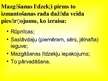 Prezentācija 'Mazgāšanas līdzekļu ietekme uz vidi', 3.