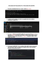 Konspekts 'Laboratorijas darbs Programmēšana Nr. 1', 1.