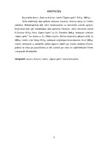 Referāts 'Stāsts un diskurss: rimeiki. "Operas spoks"', 5.