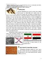 Referāts 'No debesu kultūras līdz kultūrai debesīs', 8.