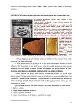 Referāts 'No debesu kultūras līdz kultūrai debesīs', 11.