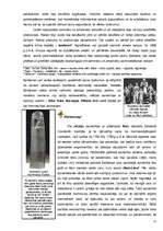 Referāts 'No debesu kultūras līdz kultūrai debesīs', 15.