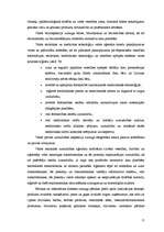 Diplomdarbs 'Patērētāju tiesību aizsardzība un pārkāpumi apavu mazumtirdzniecībā', 11.