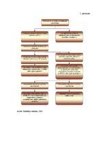 Diplomdarbs 'Patērētāju tiesību aizsardzība un pārkāpumi apavu mazumtirdzniecībā', 76.