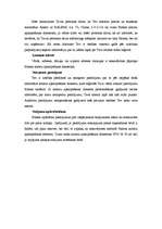 Diplomdarbs 'Patērētāju tiesību aizsardzība un pārkāpumi apavu mazumtirdzniecībā', 83.