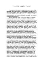 Eseja 'Datorspēles - iespējas vai briesmas?', 1.