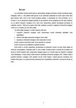 Referāts 'Alternatīvie enerģijas resursi', 3.