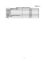 Referāts 'Alternatīvie enerģijas resursi', 17.