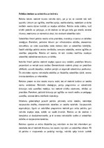 Eseja 'Politikas nozīme mūsdienu sabiedrībā: demokrātija, starptautiskās attiecības un ', 2.