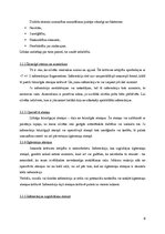 Konspekts 'Kognitīvā mācību modeļa analīze', 6.