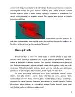 Referāts 'Fraktāļi - ceļš uz haotisko sistēmu pētīšanu', 8.