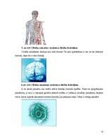 Referāts 'Fraktāļi - ceļš uz haotisko sistēmu pētīšanu', 16.