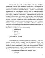 Referāts 'Fraktāļi - ceļš uz haotisko sistēmu pētīšanu', 19.