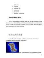 Referāts 'Fraktāļi - ceļš uz haotisko sistēmu pētīšanu', 20.