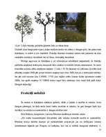 Referāts 'Fraktāļi - ceļš uz haotisko sistēmu pētīšanu', 23.