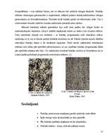 Referāts 'Fraktāļi - ceļš uz haotisko sistēmu pētīšanu', 25.