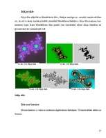 Referāts 'Fraktāļi - ceļš uz haotisko sistēmu pētīšanu', 27.