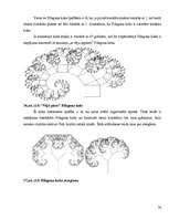 Referāts 'Fraktāļi - ceļš uz haotisko sistēmu pētīšanu', 34.
