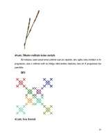 Referāts 'Fraktāļi - ceļš uz haotisko sistēmu pētīšanu', 37.