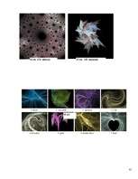 Referāts 'Fraktāļi - ceļš uz haotisko sistēmu pētīšanu', 41.