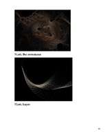 Referāts 'Fraktāļi - ceļš uz haotisko sistēmu pētīšanu', 43.