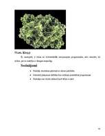 Referāts 'Fraktāļi - ceļš uz haotisko sistēmu pētīšanu', 44.