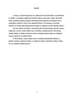 Referāts 'Vadītājs, tā nozīme uzņēmuma veiksmīgā darbībā', 3.