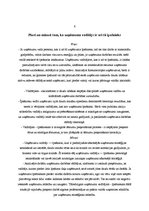 Referāts 'Vadītājs, tā nozīme uzņēmuma veiksmīgā darbībā', 7.