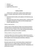 Referāts 'Vadītājs, tā nozīme uzņēmuma veiksmīgā darbībā', 12.