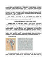 Referāts 'Smadzeņu darbība un emocijas', 1.