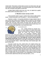 Referāts 'Smadzeņu darbība un emocijas', 2.