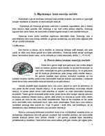 Referāts 'Smadzeņu darbība un emocijas', 3.