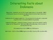Prezentācija 'Indonesia', 13.