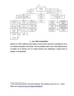 Prakses atskaite 'Profesionālās prakses atskaite', 6.