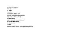 Konspekts 'Pirmsskolas nodarbība', 1.