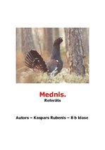 Referāts 'Putnu klase - mednis', 1.