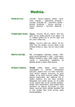 Referāts 'Putnu klase - mednis', 2.