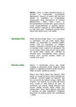 Referāts 'Putnu klase - mednis', 3.