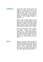 Referāts 'Putnu klase - mednis', 5.