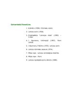 Referāts 'Putnu klase - mednis', 7.